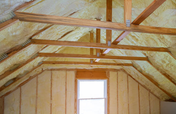 Best Insulation Contractors for Homes  in Toccoa, GA