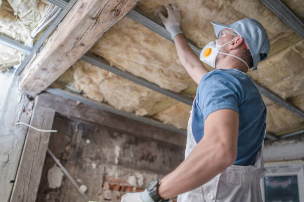Best Insulation Replacement Services  in Toccoa, GA