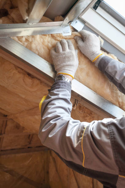 Best Best Insulation Companies  in Toccoa, GA