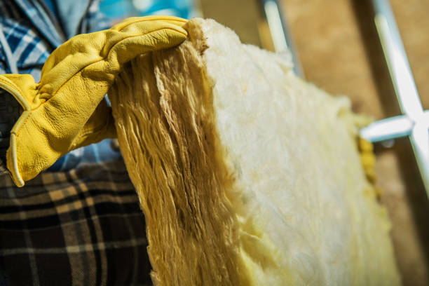 Trusted Toccoa, GA Insulation Contractor Experts