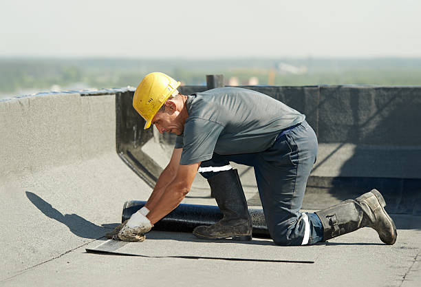 Best Attic Insulation Installation  in Toccoa, GA